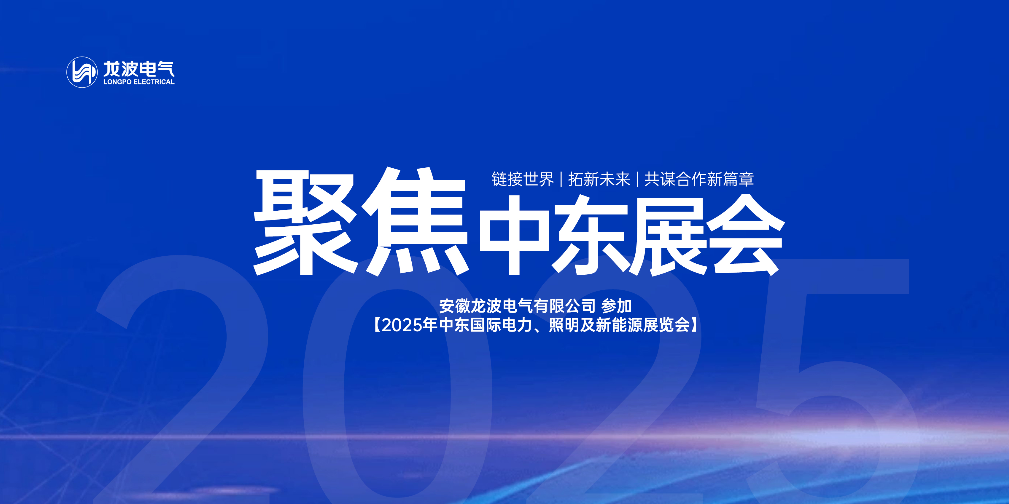 链接世界，拓新未来，共谋合作新篇章 | 安徽龙波电气参加2025中东国际电力展览会